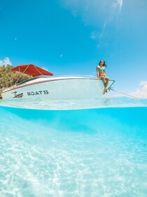 Mauritius: Dolfijnen kijken met een privé Speedboot en Ile aux cerfs