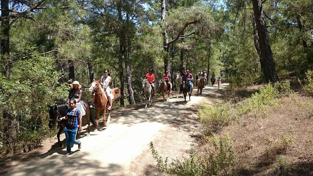 Picture 1 for Activity Alanya: Horse Riding Adventure