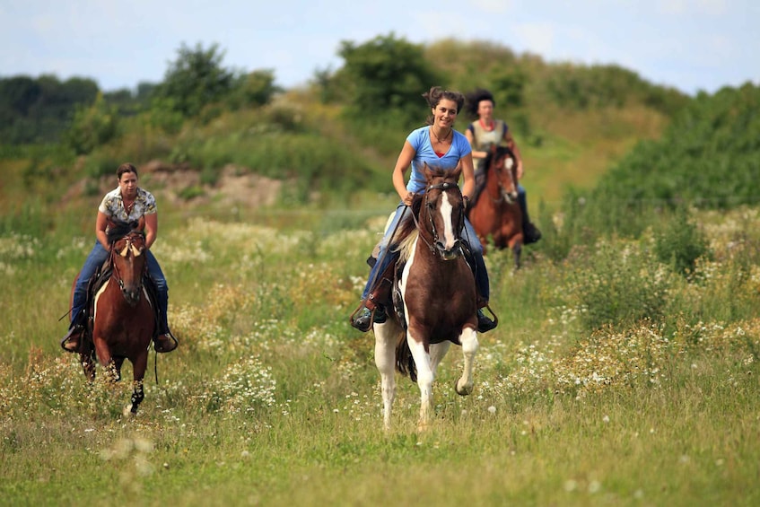 Alanya: Horse Riding Adventure