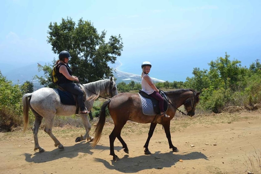 Picture 4 for Activity Alanya: Horse Riding Adventure