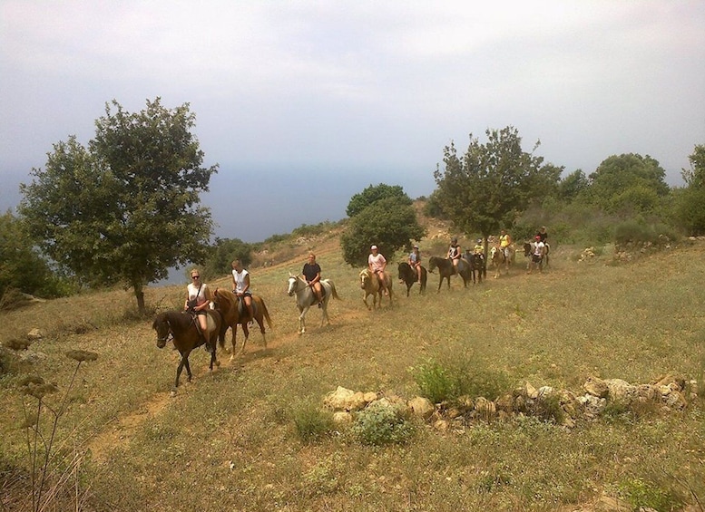 Picture 3 for Activity Alanya: Horse Riding Adventure