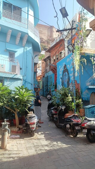 Picture 14 for Activity Jodhpur: Guided City Tour