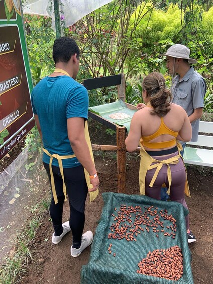 Picture 9 for Activity La Fortuna: Garden Walking Tour with Chocolate and Coffee