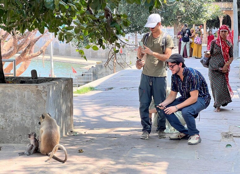 Picture 1 for Activity Spiritual City Walking tour -The Pushkar Route