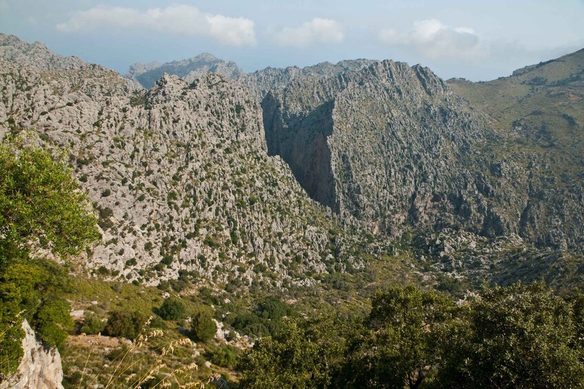 Picture 26 for Activity From Palma: Serra Tramuntana and Lluc Monastery Guided Tour
