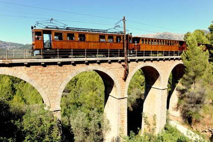 From Palma: Serra Tramuntana and Lluc Monastery Guided Tour
