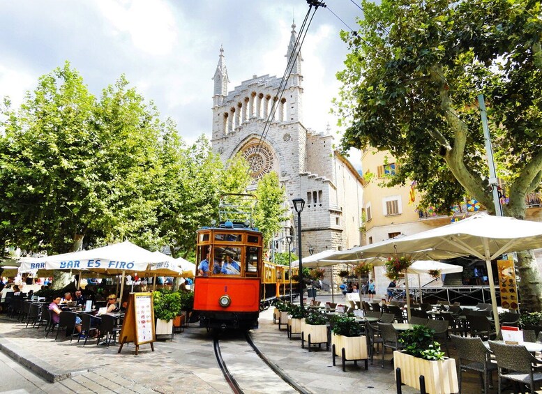 Picture 22 for Activity From Palma: Serra Tramuntana and Lluc Monastery Guided Tour