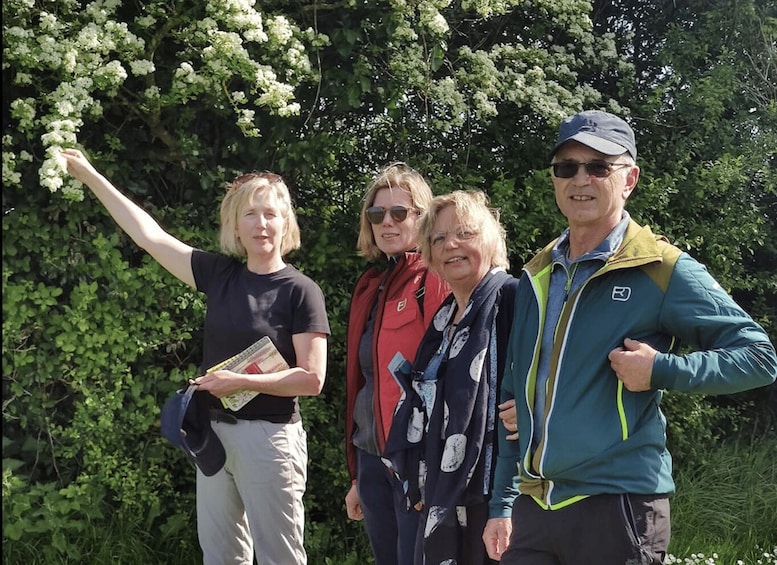 Picture 2 for Activity Burren Botany Experience