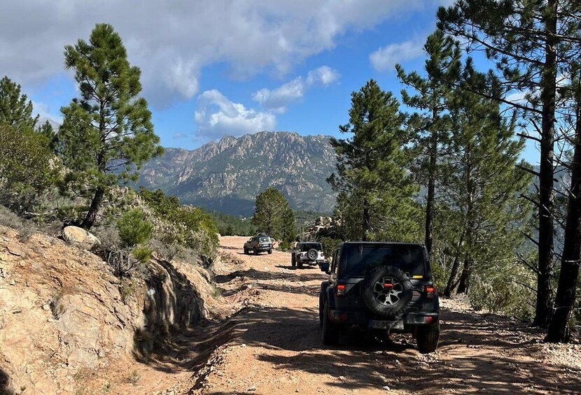 Picture 2 for Activity Porto Vecchio: Cuscionu Plateau & Alta Rocca 4x4 Tour