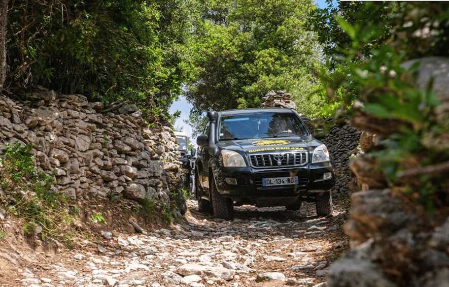 Picture 1 for Activity Porto Vecchio: Cuscionu Plateau & Alta Rocca 4x4 Tour