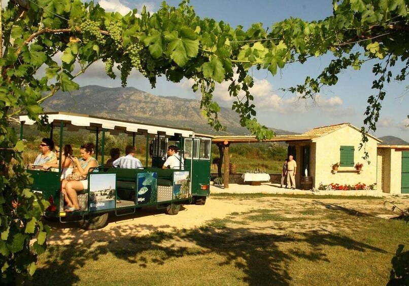 Picture 8 for Activity Private tour to Konavle valley with wine tasting