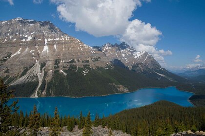 Lake Louise, Moraine Lake und Peyto Lake Ganztagestour