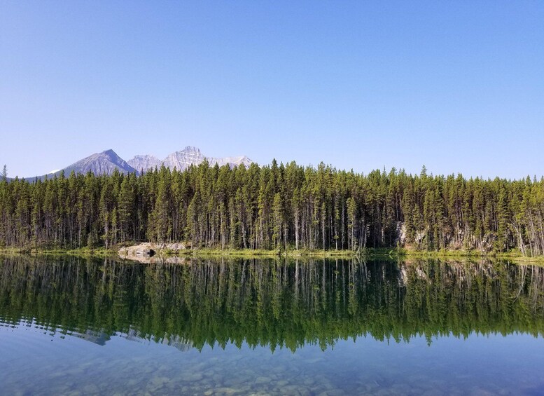 Picture 2 for Activity Lake Louise, Moraine Lake and Peyto Lake Full Day Tour