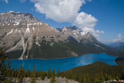 Lake Louise, Moraine Lake en Peyto Lake Hele dagtour