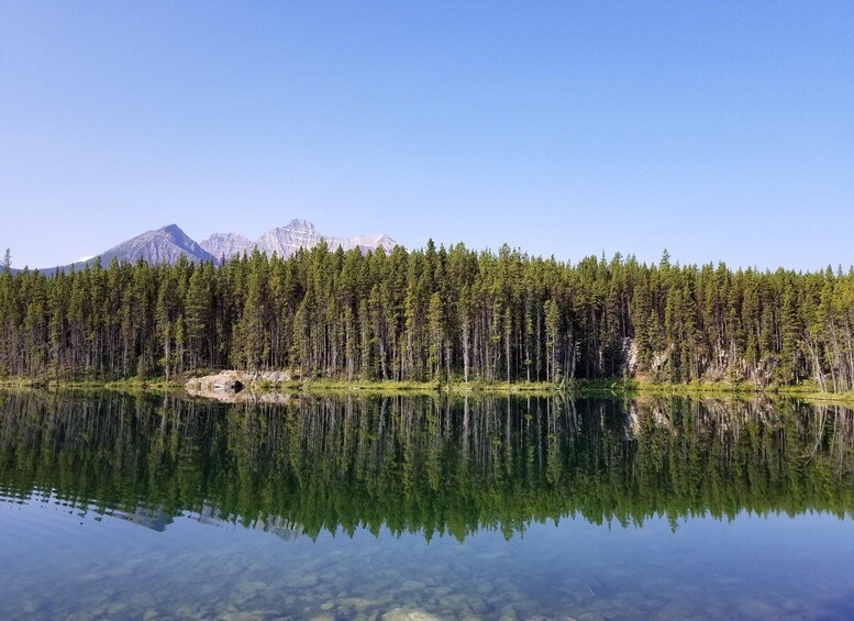 Picture 2 for Activity Lake Louise, Moraine Lake and Peyto Lake Full Day Tour