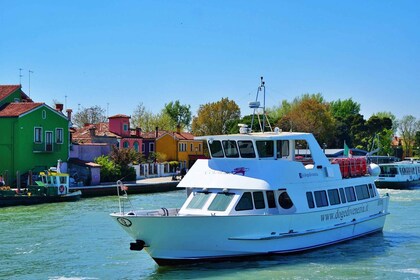 Venetië: Murano en Burano Boottocht met Glasfabriek Bezoek