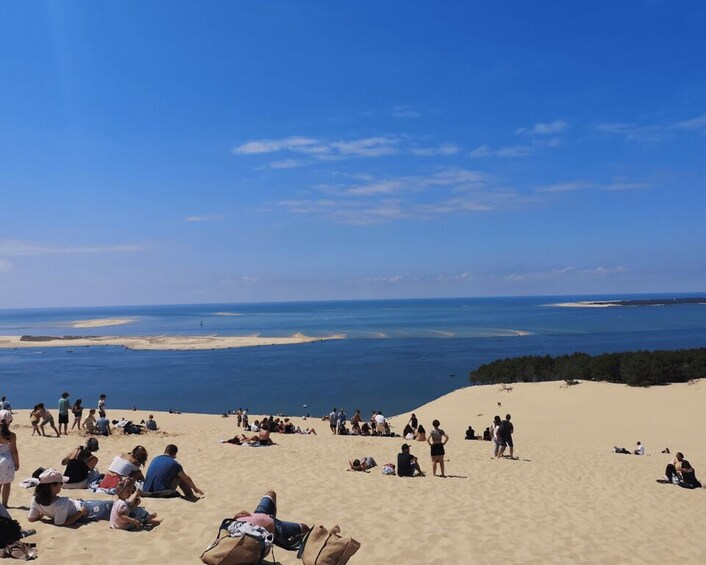 Picture 11 for Activity From Bordeaux: Arcachon Bay Afternoon and Seafood