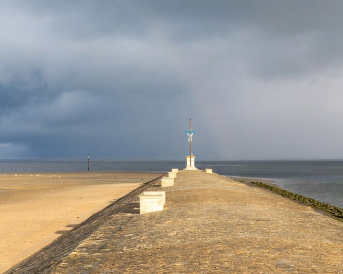 Picture 7 for Activity From Bordeaux: Arcachon Bay Afternoon and Seafood