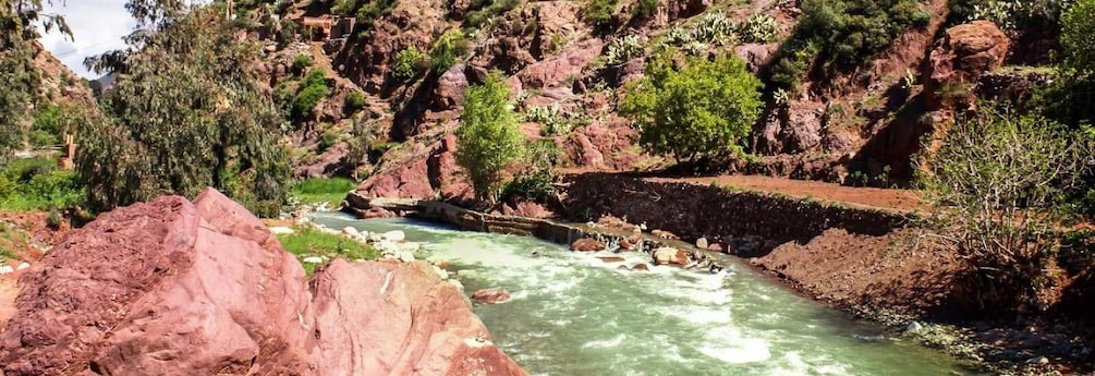 Picture 7 for Activity "Ouzoud Waterfall: 1-Day Marrakech Escape"