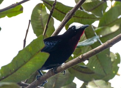 Salento: hike to learn about Birds