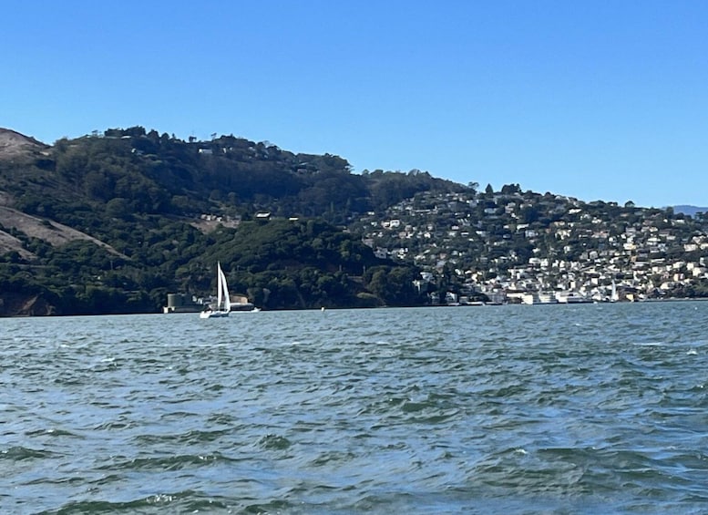 Picture 25 for Activity Private Sailing Charter on San Francisco Bay (3hrs)