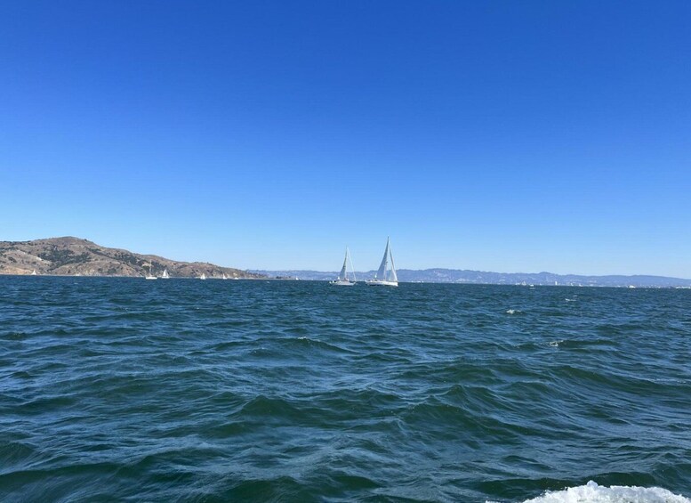 Picture 22 for Activity Private Sailing Charter on San Francisco Bay (3hrs)