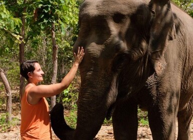 Phnom Tamao Wildlife Center & Buddha Kiri Kambodja Dagsutflykt