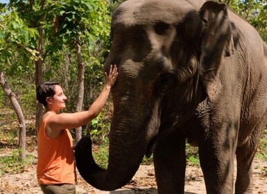 Phnom Tamao Wildlife Center & Buddha Kiri Kambodžan päiväretki