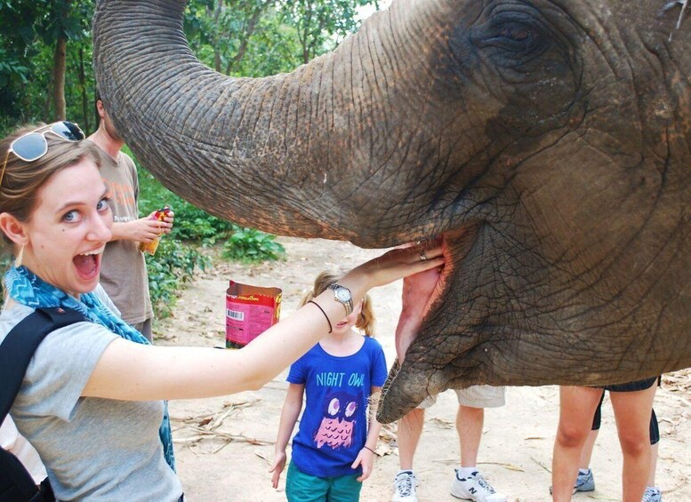 Picture 1 for Activity Phnom Tamao Wildlife Center & Buddha Kiri Cambodia Day Tour