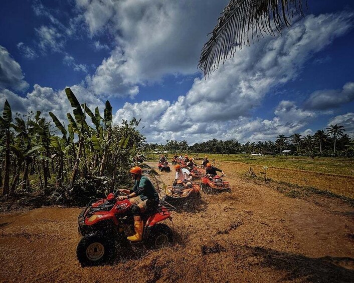 Ubud Bali: Gorilla Face ATV & Jungle Swing with Lunch