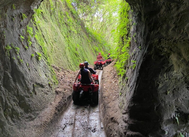 Picture 5 for Activity Ubud Bali: Gorilla Face ATV & Jungle Swing with Lunch