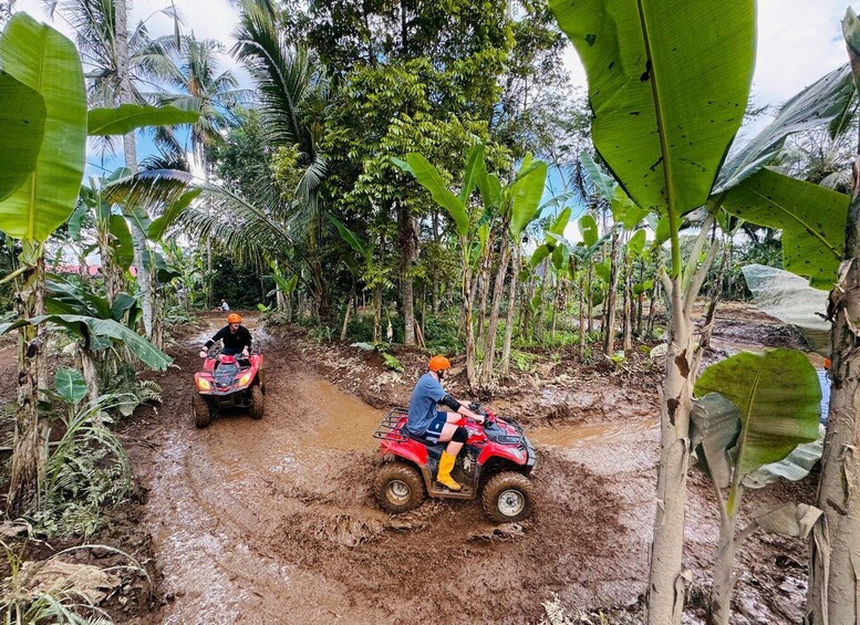 Picture 7 for Activity Ubud Bali: Gorilla Face ATV & Jungle Swing with Lunch