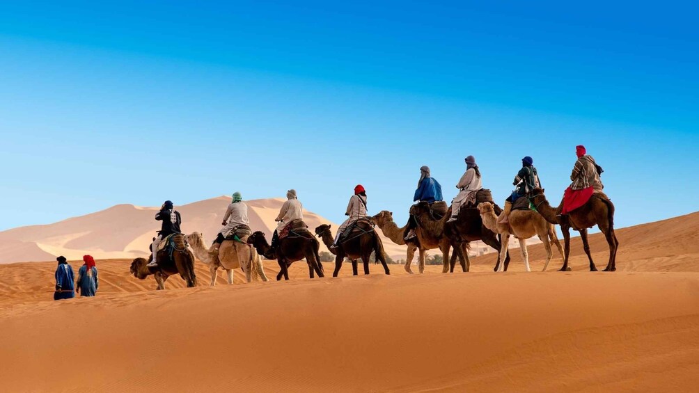Picture 3 for Activity From Tangier : 09 Days Desert Tour to Marrakech ,Fes