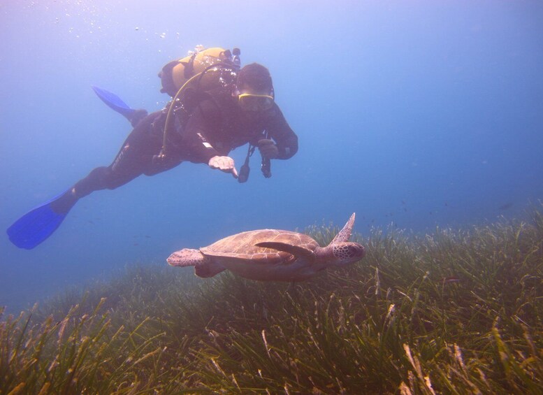 Picture 1 for Activity City of Side: Underwater Museum Scuba Diving Visit