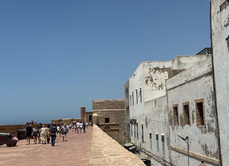 Picture 16 for Activity From Marrakech : Full day trip to Essaouira with camel