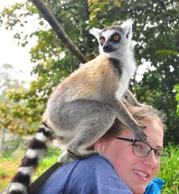 3 days -Wildlife and Lemur discovery Tour to Andasibe