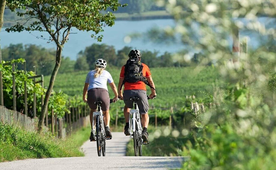 Picture 2 for Activity Vjosa River: Electric Bike Tour in Permet