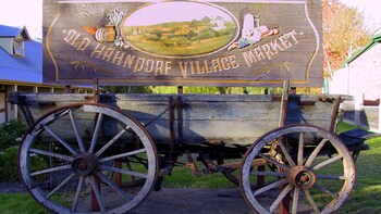 Adelaide Highlights & Hahndorf Town Half-Day Tour