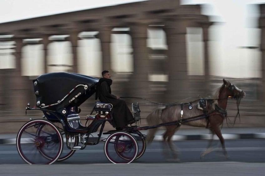 Picture 5 for Activity Luxor: City Tour by Horse Carriage from the East Bank