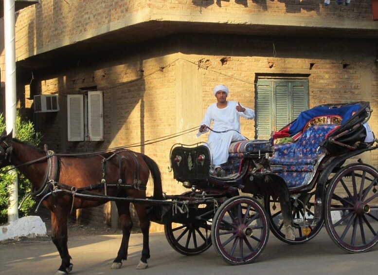 Picture 10 for Activity Luxor: City Tour by Horse Carriage from the East Bank