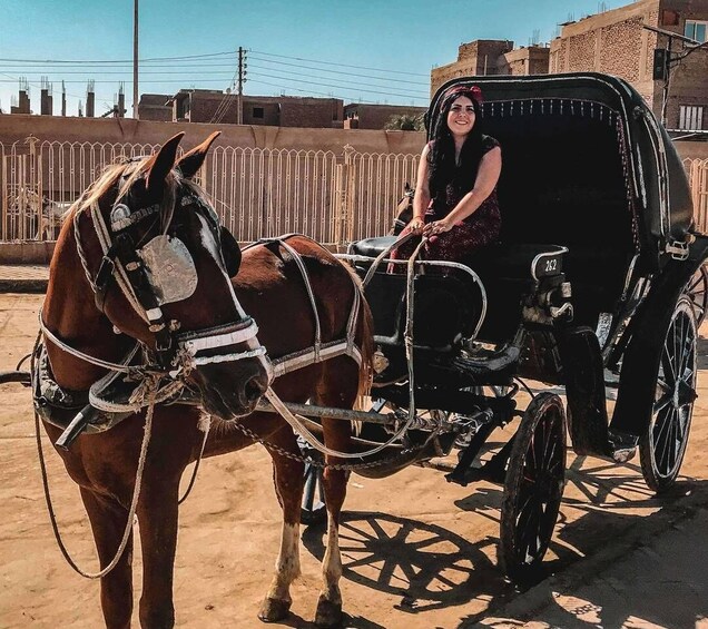 Picture 9 for Activity Luxor: City Tour by Horse Carriage from the East Bank