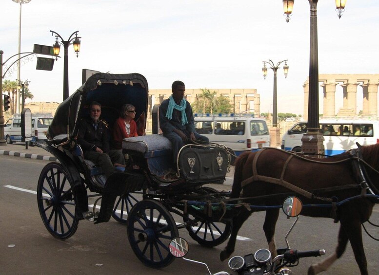 Picture 3 for Activity Luxor: City Tour by Horse Carriage from the East Bank