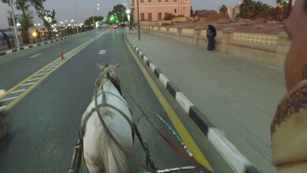 Picture 12 for Activity Luxor: City Tour by Horse Carriage from the East Bank