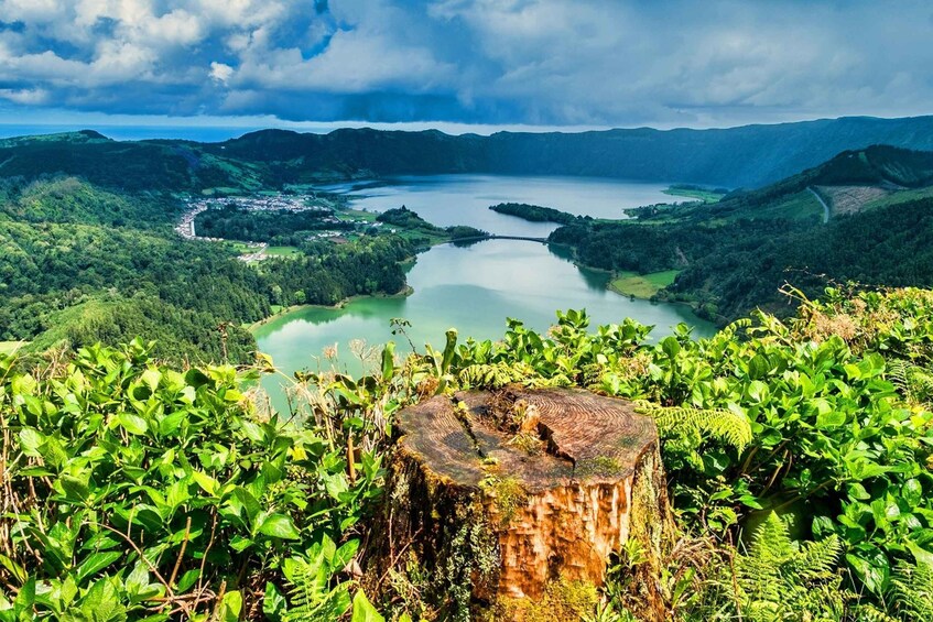 Picture 7 for Activity Sete Cidades: Half-Day Hiking Tour