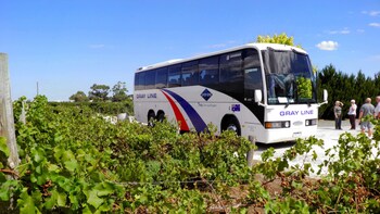 Barossa Valley Day Tour with Hahndorf from Adelaide