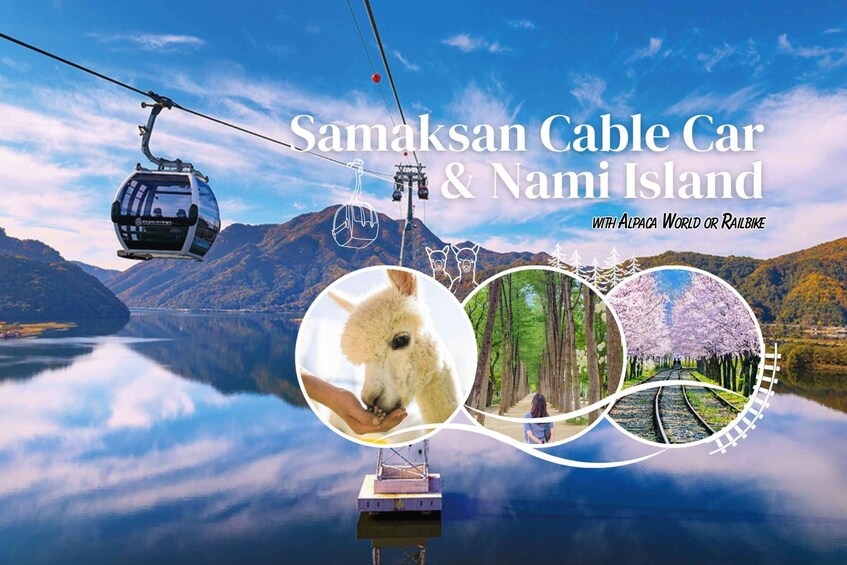 Seoul: Samaksan Cable Car & Nami with Alpaca World/Railbike