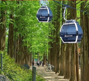 โซล: Samaksan Cable Car & Nami กับ Alpaca World/Railbike