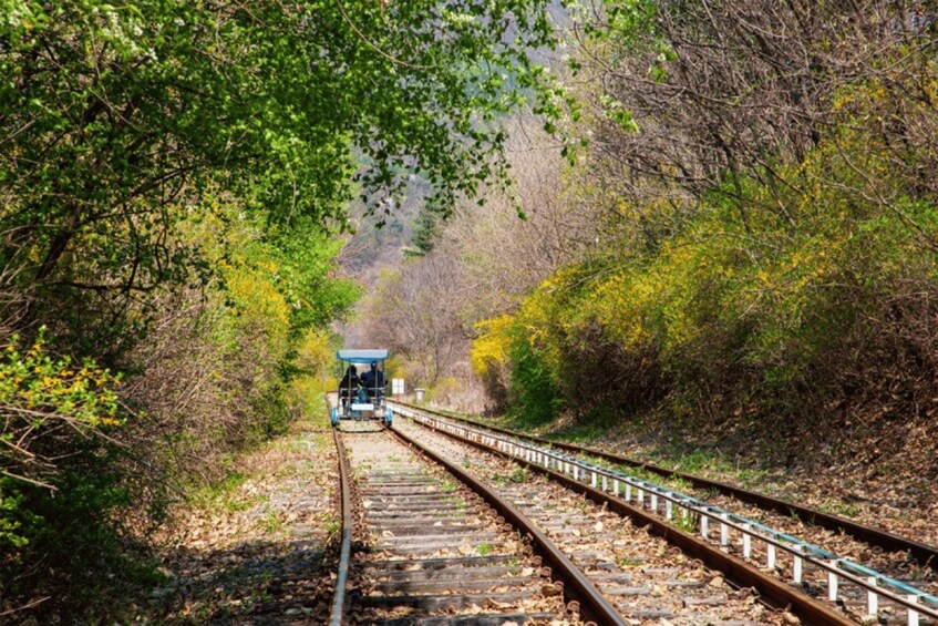 Picture 23 for Activity Seoul: Samaksan Cable Car & Nami with Alpaca World/Railbike