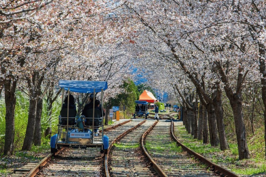 Picture 4 for Activity Seoul: Samaksan Cable Car & Nami with Alpaca World/Railbike