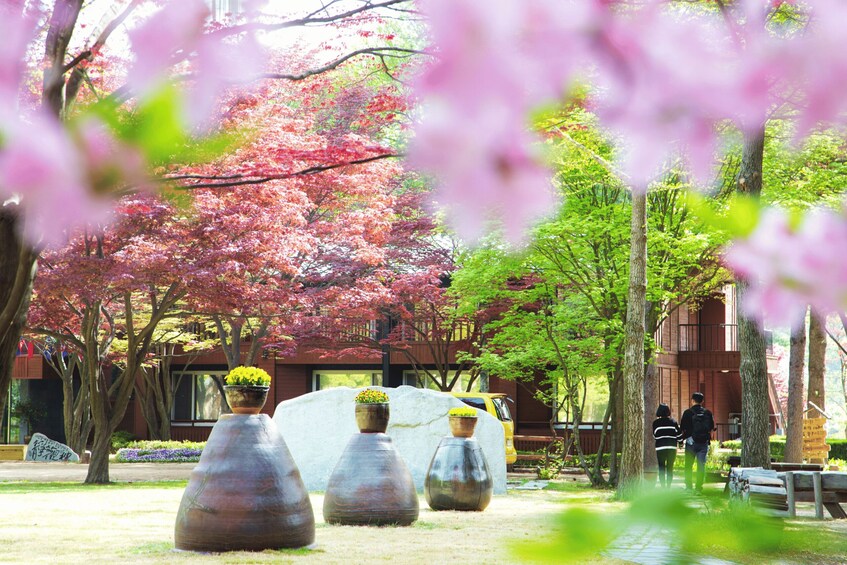 Picture 1 for Activity Seoul: Samaksan Cable Car & Nami with Alpaca World/Railbike